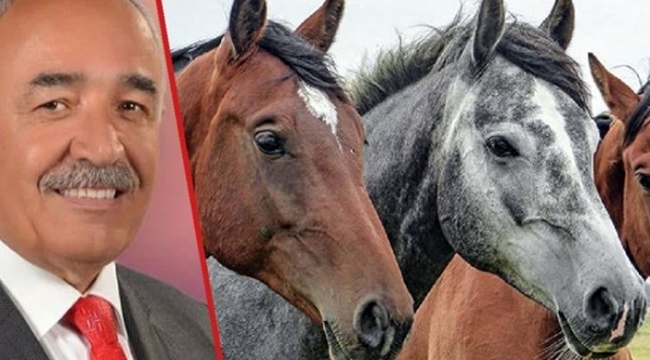İBBnin hibe ettiği atları kaybeden MHPli belediyede vergi kaçakçılığı